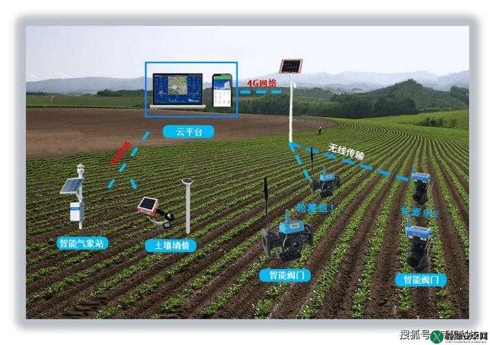 精准灌溉系统 y 液收集系统：智能农业的未来