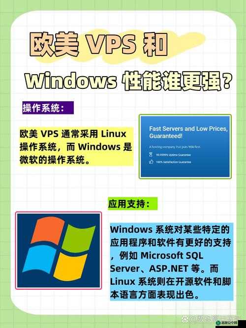 欧美 VPS 与 Windows 性能比较：选哪个更好？