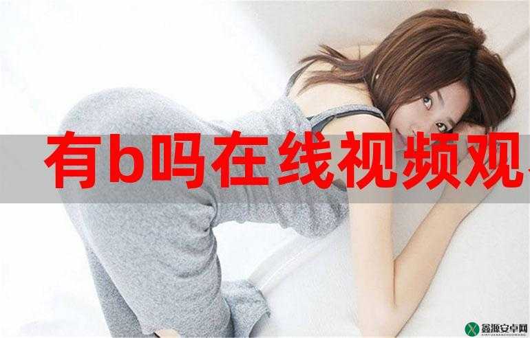 b 站在线观看：畅享精彩视频内容