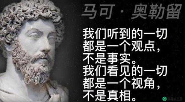 凌晨三点播放的视频叫什么：揭秘诡异事件背后的真相