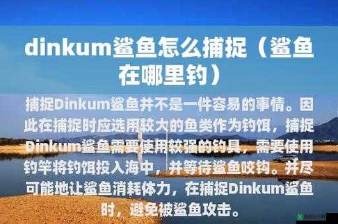 Dinkum鲨鱼诱捕笼获取攻略