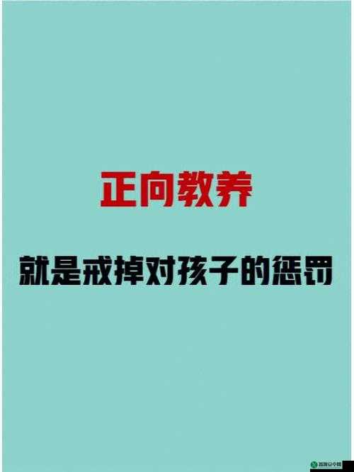 公开惩戒教养所：探索矫治与教育的新路径