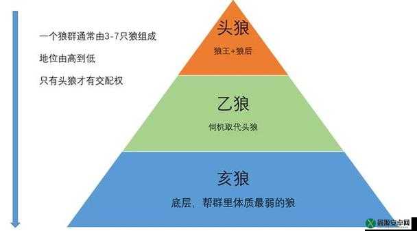 狼面对老板图鉴详解：公司势力关系图