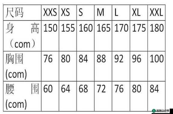 欧亚专线 S 码和 W 码入口一样吗：详细解析