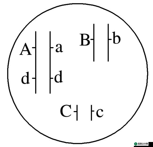 AAABBAAA 与 ABCD 号相关内容