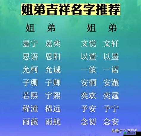 苏姓兄妹：手足相争的情感纠葛