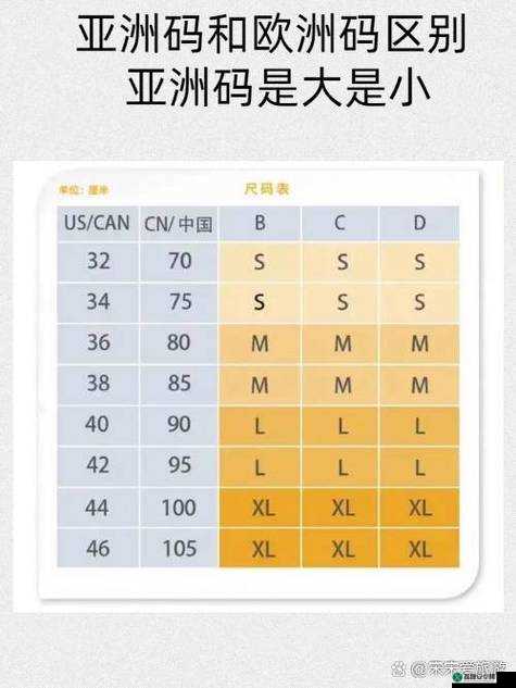 亚洲和欧洲一码二码区别在：其具体差异分析