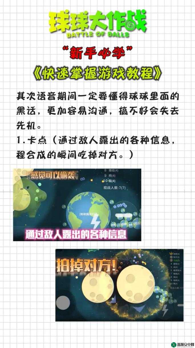 《球球大作战：自建房间列表的容量与玩家数量解析》