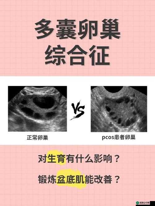 实验室催乳媚药改造的创新应用