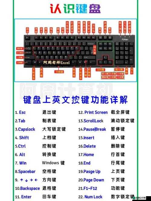 瑞思与夏恩各按键功能及游戏详细操作全方位解析