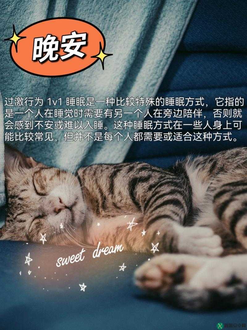 过激行为 1v1 睡眠对我是否重要？