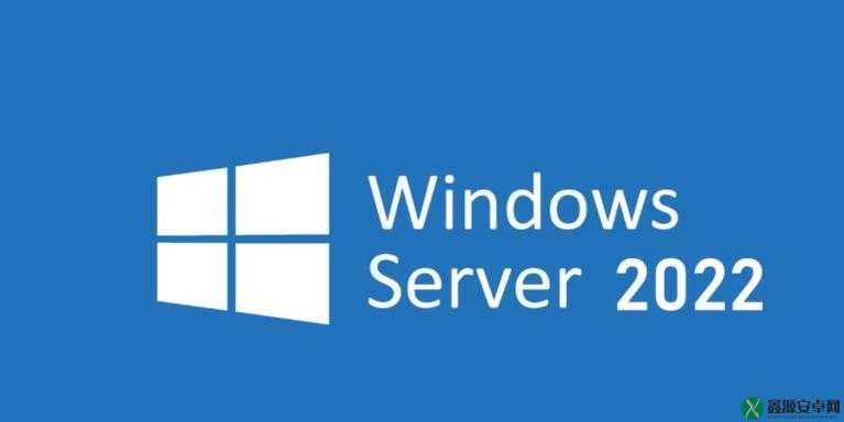 日本-Windows-Server：企业信息化的可靠选择