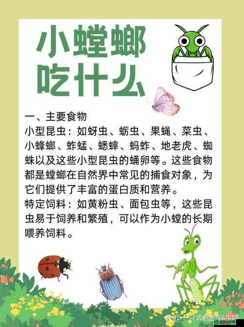 微信全民农场新手常见问题集锦：解答你的疑惑