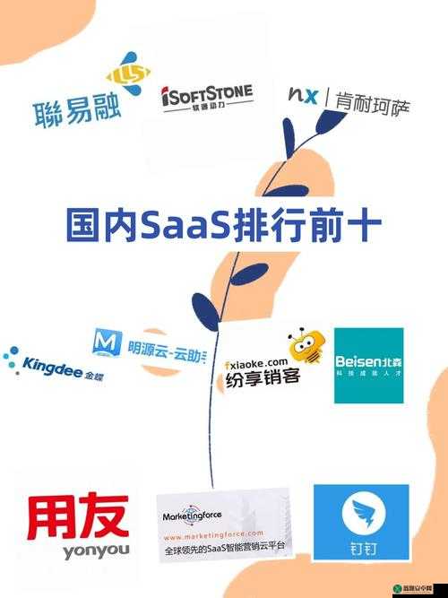 国内永久免费 SaaSCRM：助力企业高效管理