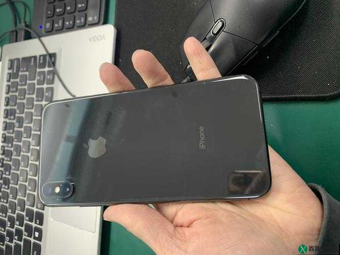 iPhoneXSMax 在日本：市场表现与用户反馈