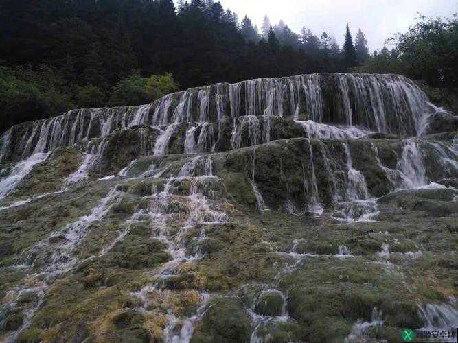 爹爹黄龙直捣溪水潺潺：一段奇妙的冒险之旅