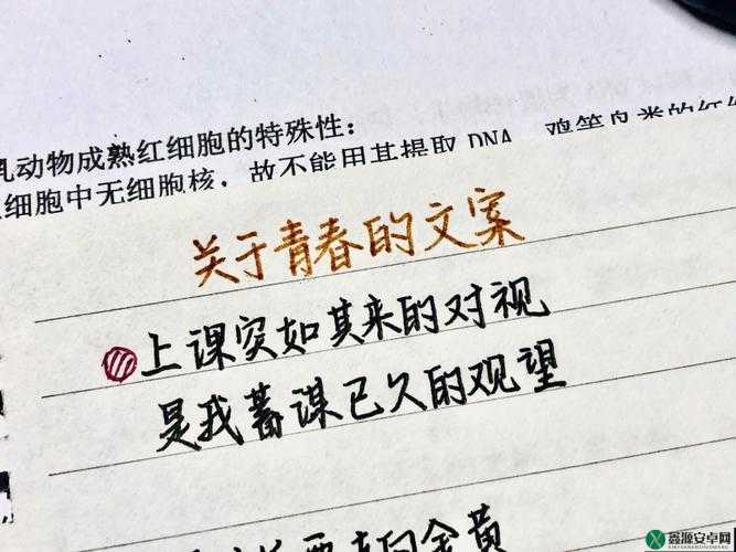 男生和女生一起错错错 30 分钟：一场关于青春与成长的故事