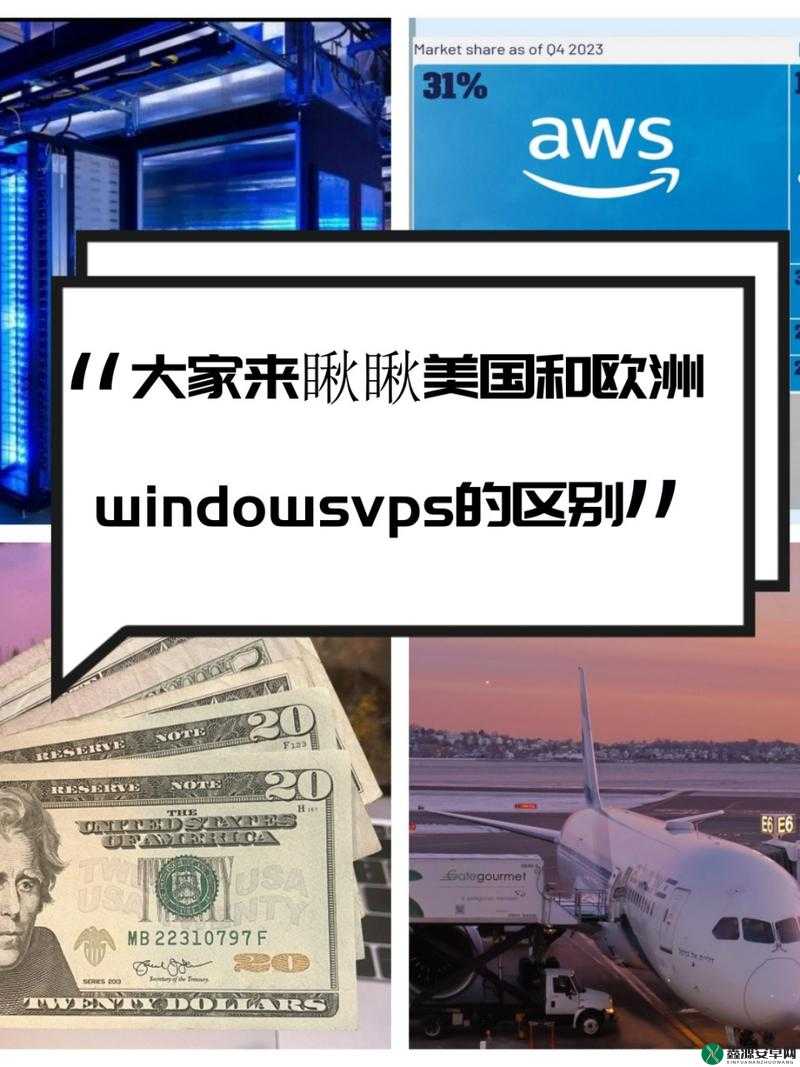 欧美 VPS 与 Windows 性能比较：谁更胜一筹？