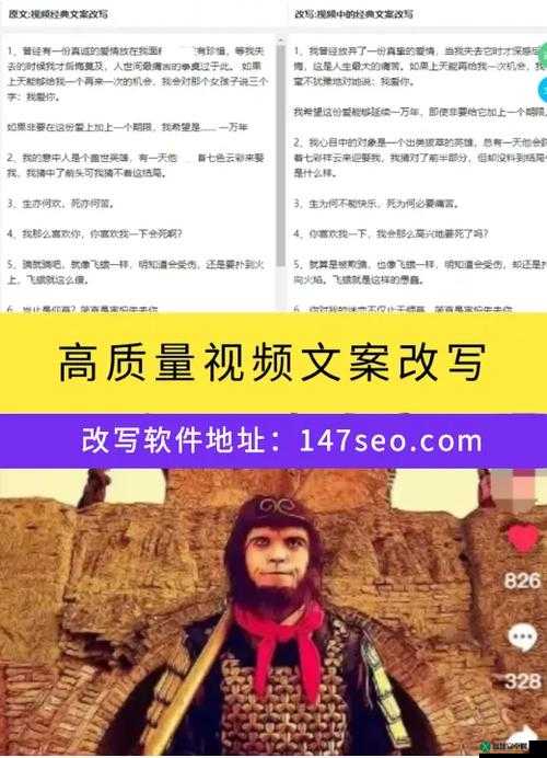 后 SEO 短视频页入口引流：吸引更多流量的方法