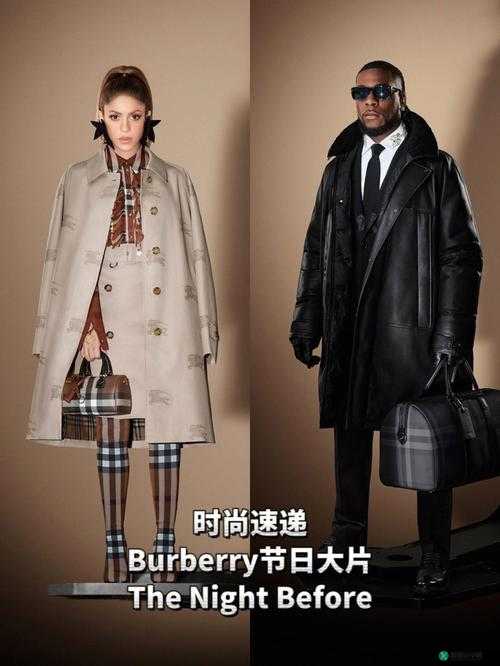 BURBERRY 中文免费版：尽享奢华时尚体验