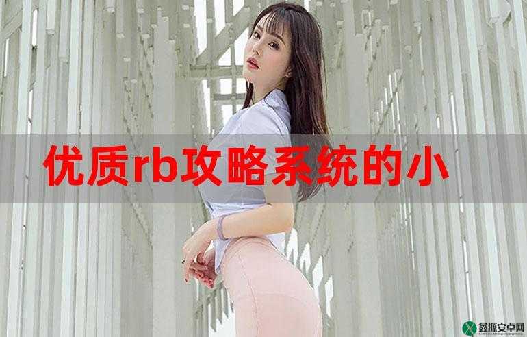 优质 RB 攻略手册：打造完美 RB 体验