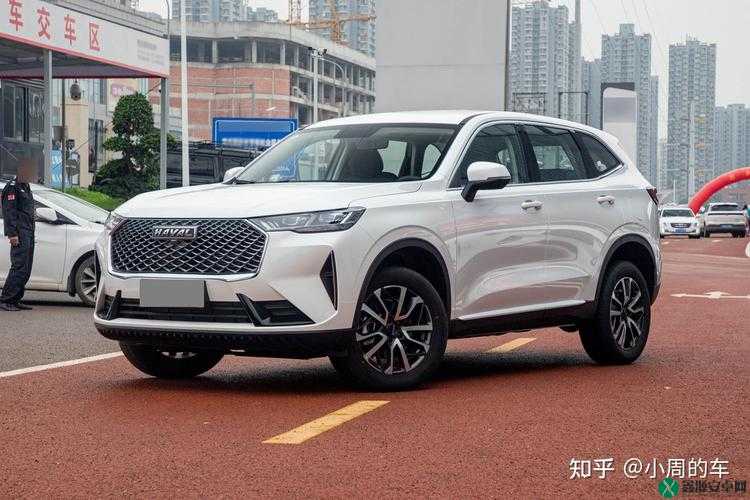 国产 SUV 精二区 69：性能与品质的完美结合